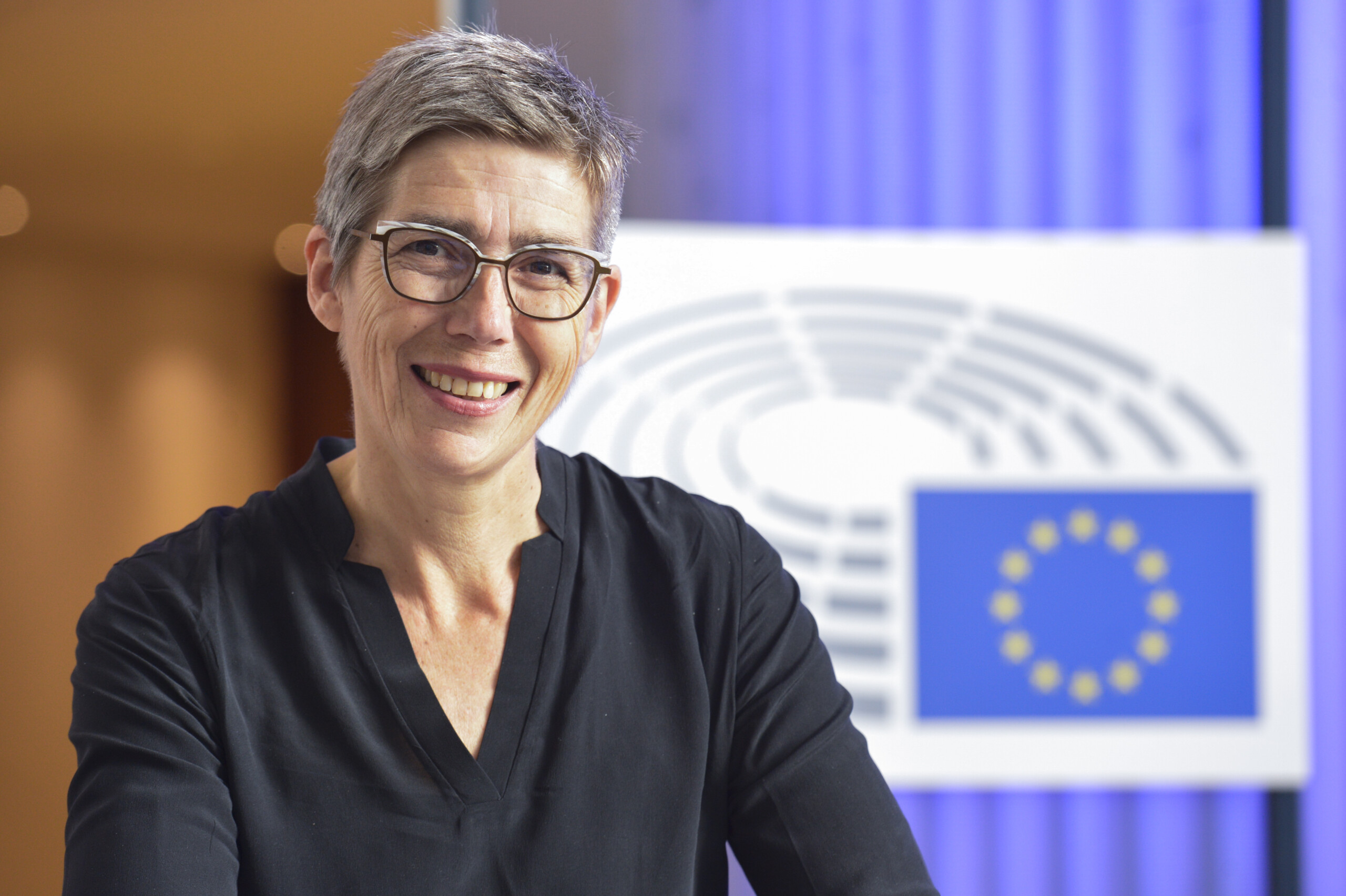 OnlineVeranstaltung der JEF Hessen mit Jutta Paulus Der European