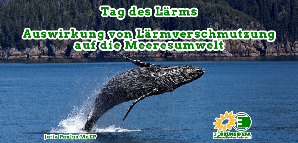 Tag des Lärms - 28. April 2021 - Auswirkung von Lärmverschmutzung auf ...