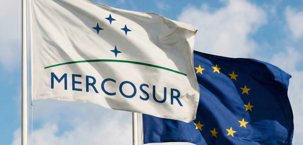 Von paulomgodoy Adobe stock